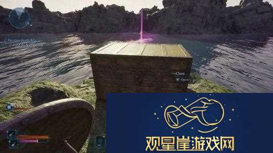 宣誓被发现加入了代词吸引“现代观众”