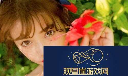 成品网站1688入口网页版怎么进