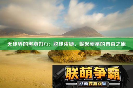 无线界的黑寡妇V3
