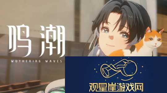 鸣潮日服引发大规模风波每位玩家获赔1万元隐私泄露问题亟待解决速递