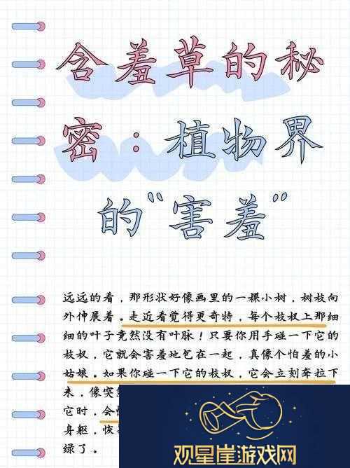 含羞草在线视频