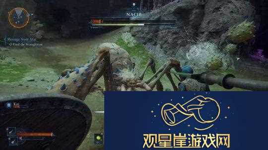 宣誓被发现加入了代词吸引“现代观众”