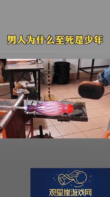 奇趣视频