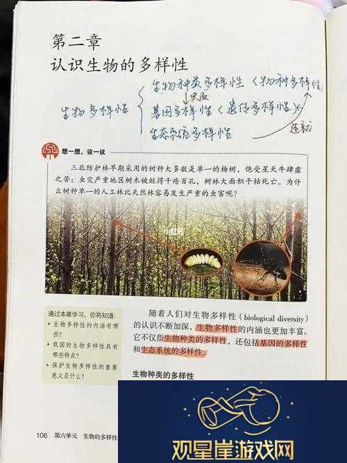 暗黑血统创世纪军团闪电喷射者攻略