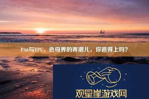 PA6与TPU