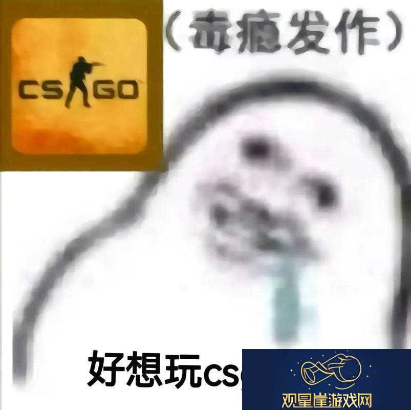 高龄“狙神”崛起！揭秘55岁大妈玩转CSGO的另类传奇
