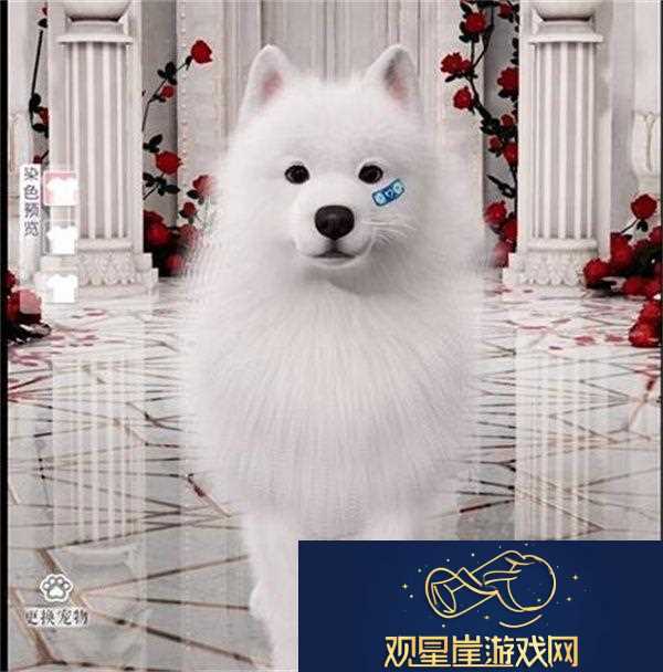 以闪亮之名限时萌宠时装礼包怎么样