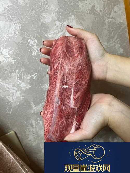 大肉大捧一进一出的视频