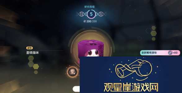 崩坏星穹铁道1.6异宠拾遗团聚任务怎么做