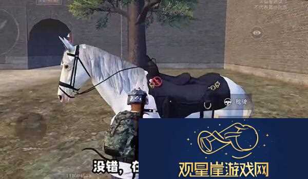 和平精英在哪骑马