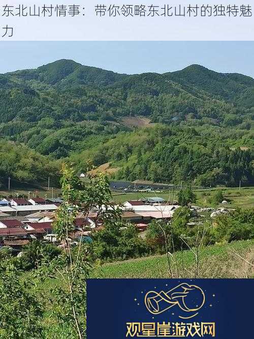 东北山村情事