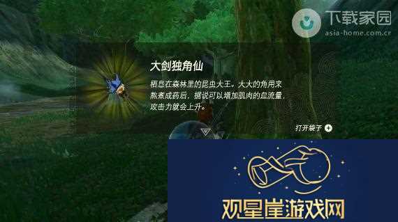 塞尔达传说王国之泪独角仙获取位置及详细攻略解析
