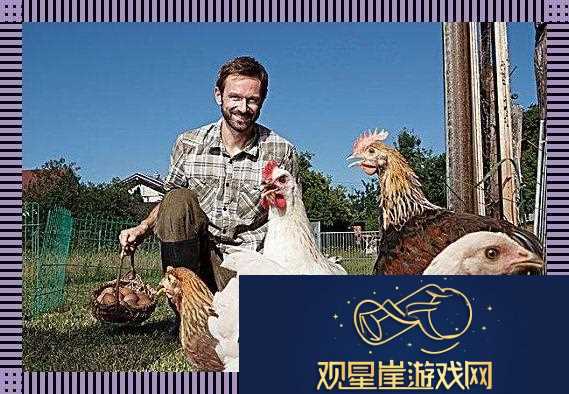 潮起禽落