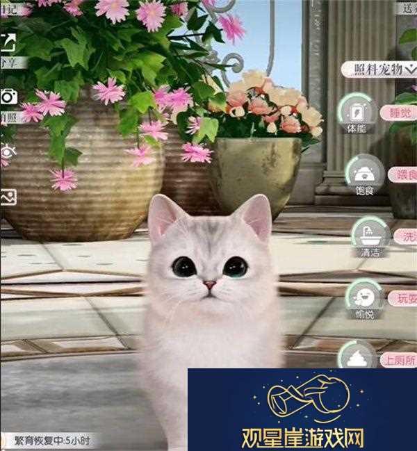 以闪亮之名限时萌宠时装礼包怎么样