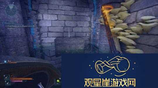 宣誓被发现加入了代词吸引“现代观众”