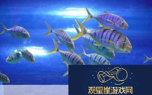 锕铜的奇妙世界