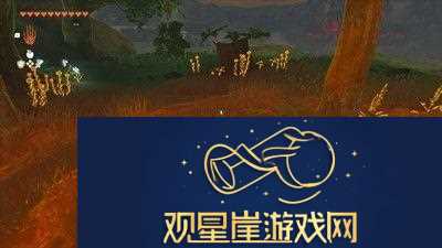 暖暖香草刷新点介绍