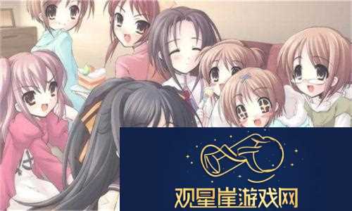 老阿姨最后的巅峰视频