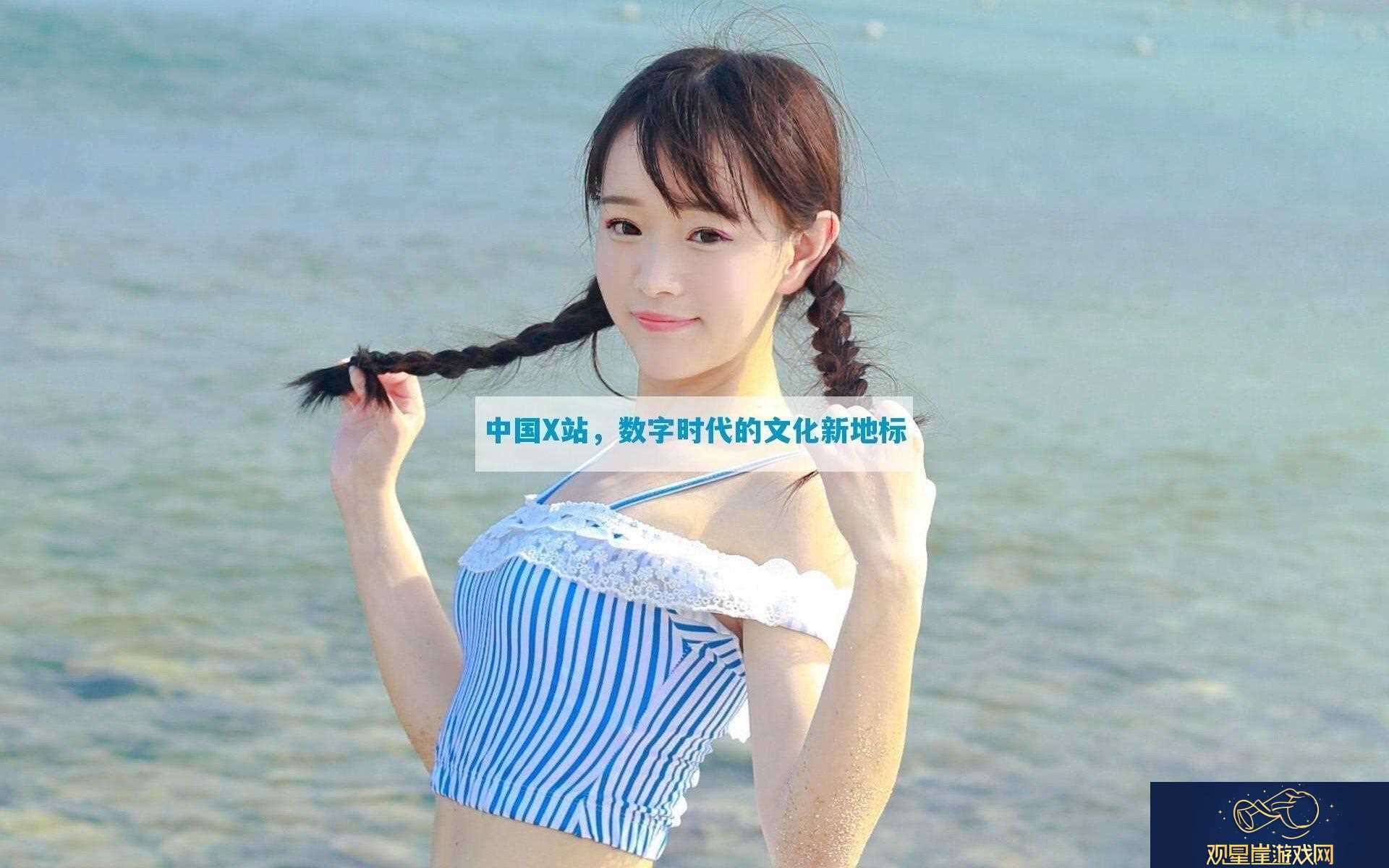 中国X站数字时代的文化新地标