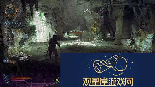 宣誓被发现加入了代词吸引“现代观众”