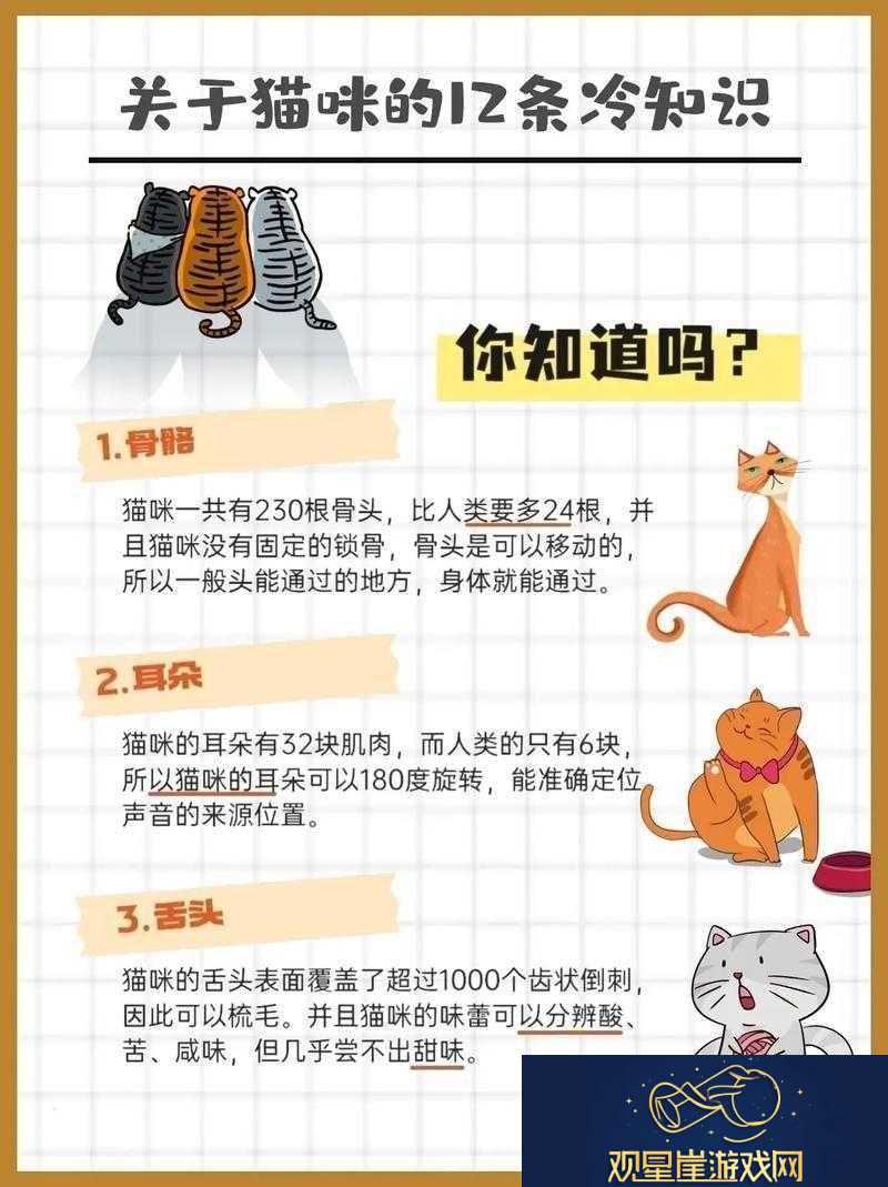 泡泡女神升星必备材料获取攻略大全