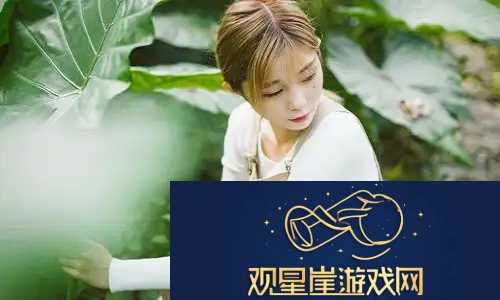 欧洲尺码与日本尺码专线不卡顿