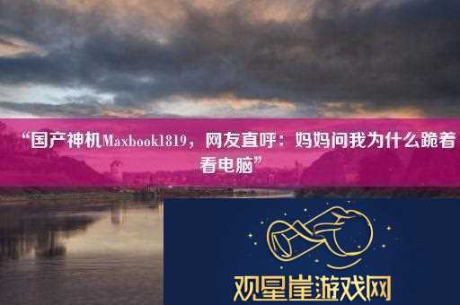 “国产神机Maxbook1819友直呼