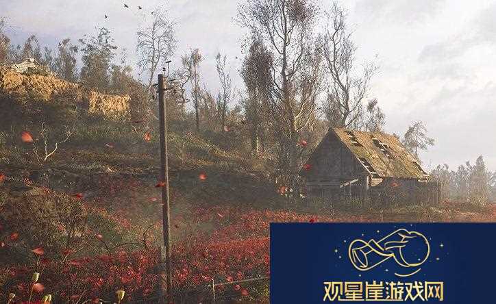 潜行者2切尔诺贝利之心婴粟田的储藏点位置分享