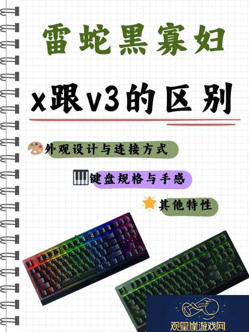键盘江湖黑寡妇X与V3的恩怨情仇
