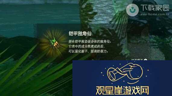 塞尔达传说王国之泪独角仙获取位置及详细攻略解析