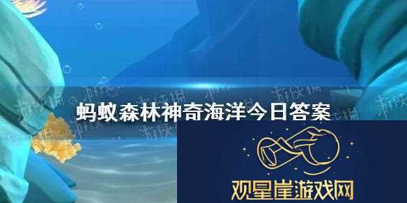 哪种海洋鱼类别名闪光鱼眼皮底下有两盏眼灯