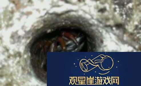 恐怖奶奶蜘蛛攻略