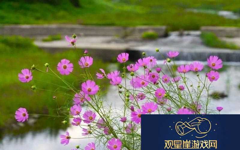 后粉苏晶体结构iso